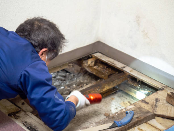 Best Post-Remediation Services in Grambling, LA
