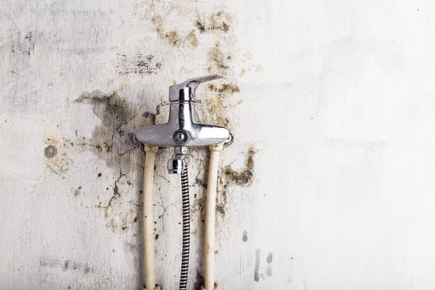 Best HVAC Mold Remediation in Grambling, LA