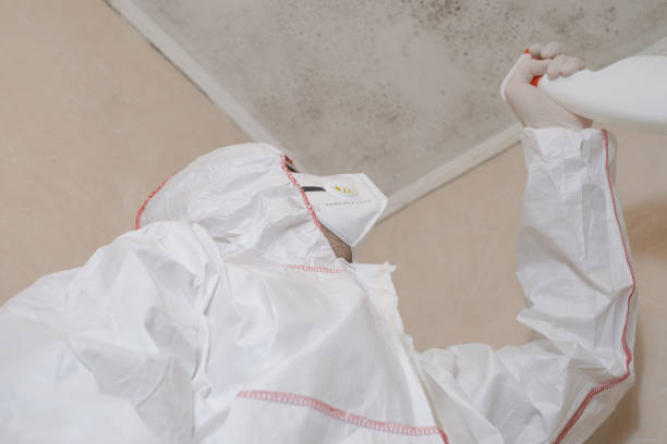 Best Black Mold Remediation in Grambling, LA